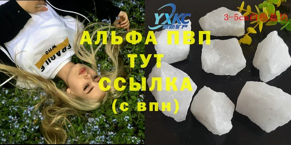 тгк Алексин