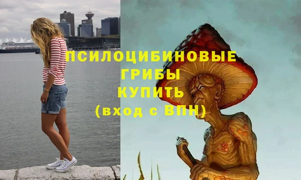 винт Абаза